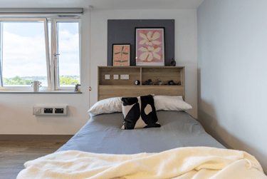 Premium Studio - Image 8